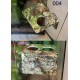 Double Feeding Ledge - Moss Design
