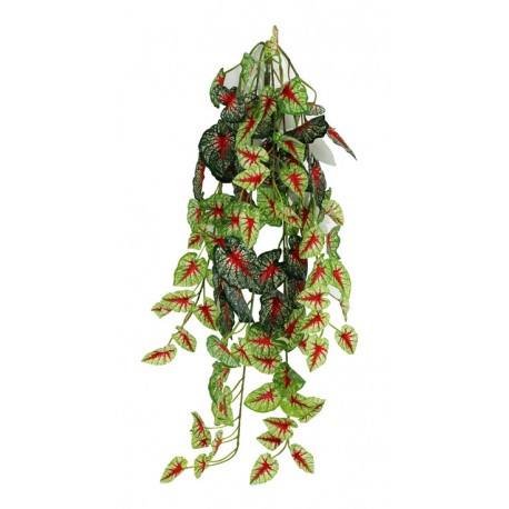 Pangea Hanging Bush - 24" Caladium
