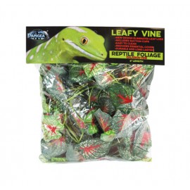 Pangea Leafy Vine -Caladium