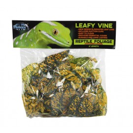 Pangea Leafy Vine - Japanese Laurel