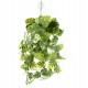 Pangea hanging plant - Green