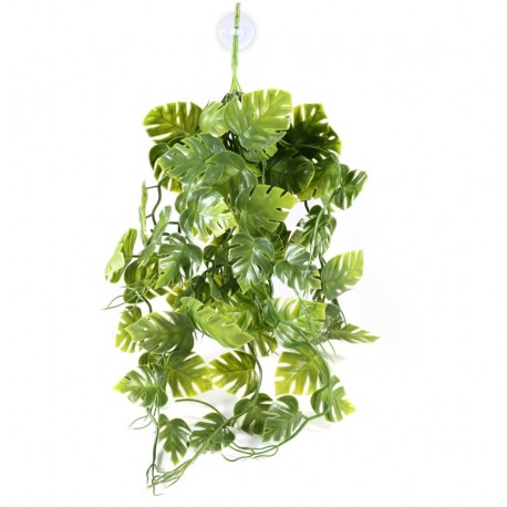 Pangea hanging plant - Green