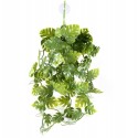 Pangea hanging plant - Green