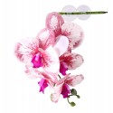 Pangea Hanging Orchid - White and Pink