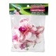 Pangea Hanging Orchid - White and Pink
