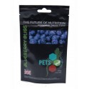 Pets2Wholesale Gecko Diet - Blueberry Bliss