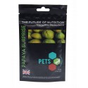 Pets2Wholesale Gecko Diet - Papaya Supreme