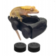 Pangea Ecoledge Magnetic Gecko Feeder Ledge