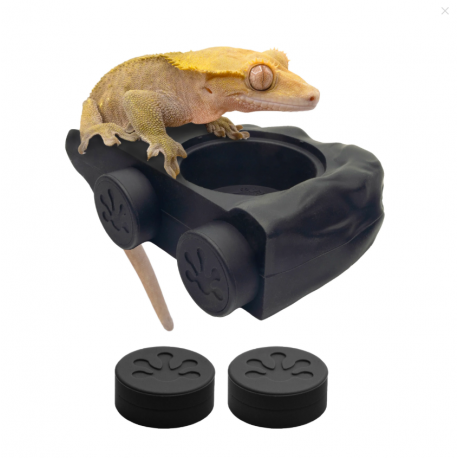 Pangea Ecoledge Magnetic Gecko Feeder Ledge