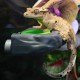Pangea Ecoledge Magnetic Gecko Feeder Ledge