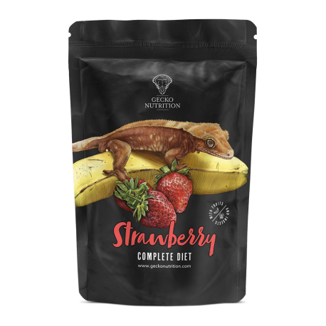 Gecko Nutrition - Strawberry