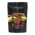 Gecko Nutrition - Strawberry